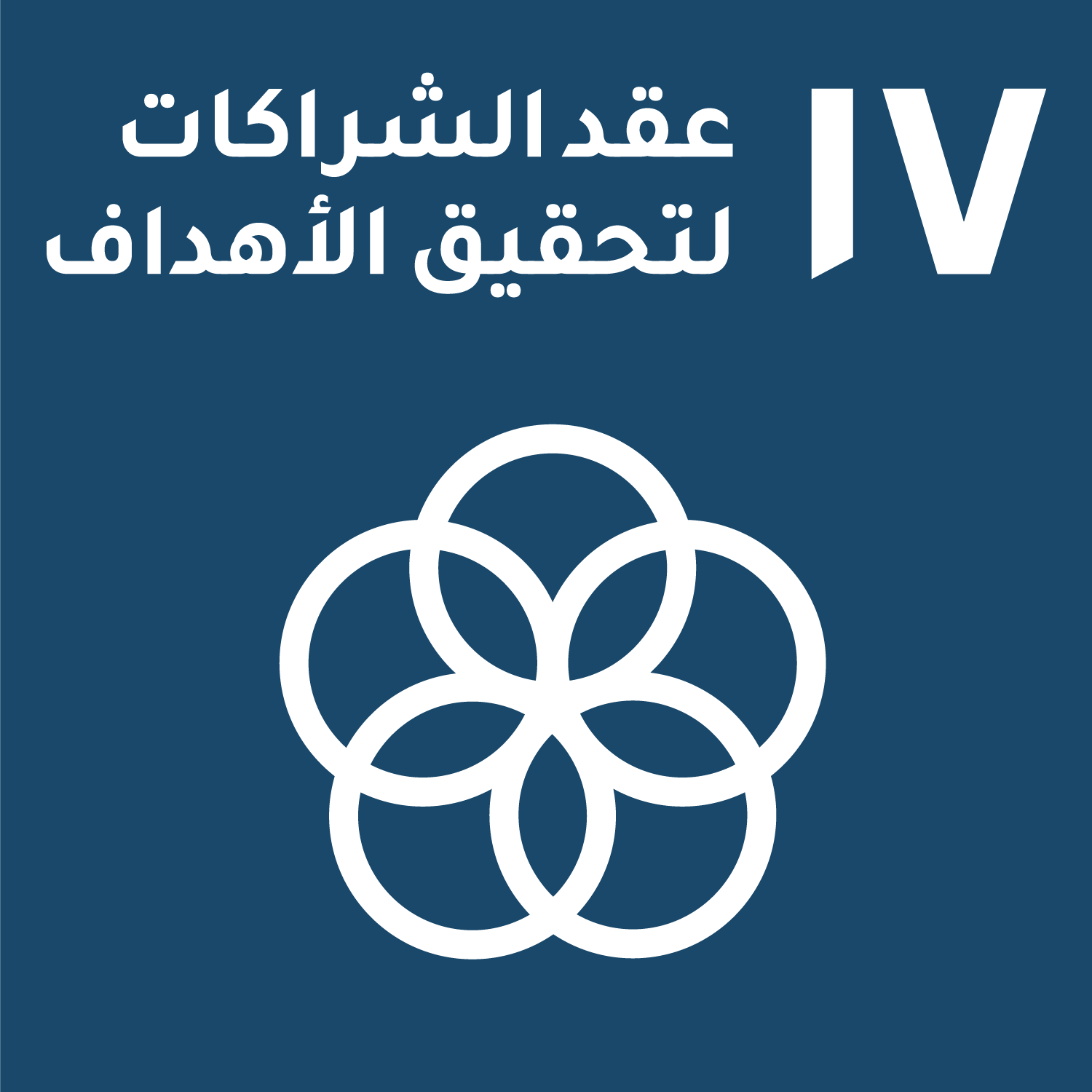 الهدف 17: عقد الشراكات لتحقيق الأهداف